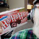 Illustration for article titled Snacktaku Versus The Hostess Holiday Mint Snack Cakes